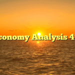 Economy Analysis 413