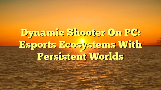 Dynamic Shooter On PC: Esports Ecosystems With Persistent Worlds