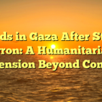 Floods in Gaza After Storm Byron: A Humanitarian Dimension Beyond Conflict