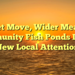 # Quiet Move, Wider Meaning: Community Fish Ponds Draws New Local Attention