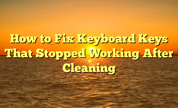 How to Fix Keyboard Keys That Stopped Working After Cleaning