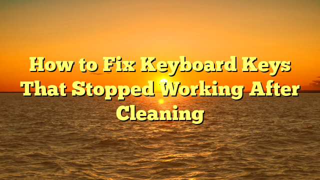How to Fix Keyboard Keys That Stopped Working After Cleaning